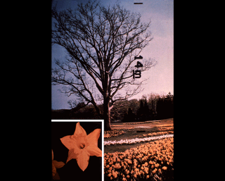 Illustration for article titled This awesome image may be found by aliens one day, floating in space